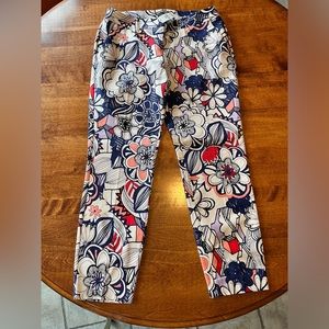 Express Columnist Ankle Pants